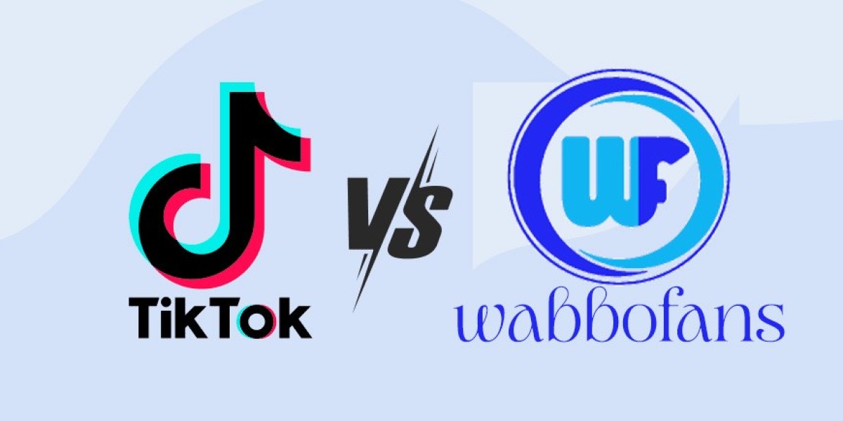 wabbofans vs tiktok